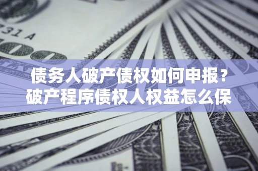 北京债务人破产债权如何申报？破产程序债权人权益怎么保障？