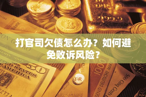 北京打官司欠债怎么办？如何避免败诉风险？