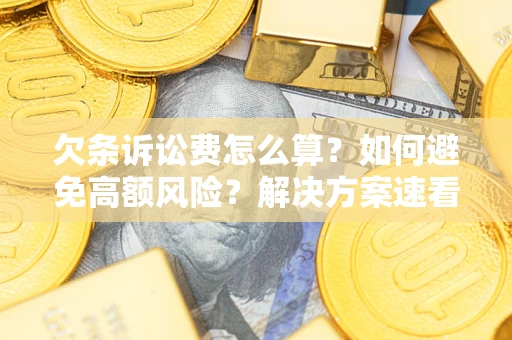 北京欠条诉讼费怎么算？如何避免高额风险？解决方案速看！