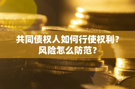 北京共同债权人如何行使权利？风险怎么防范？