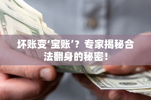 北京坏账变‘宝账’？专家揭秘合法翻身的秘密！