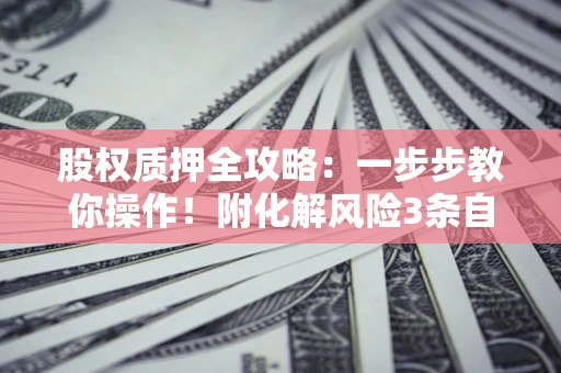 北京股权质押全攻略：一步步教你操作！附化解风险3条自救法则