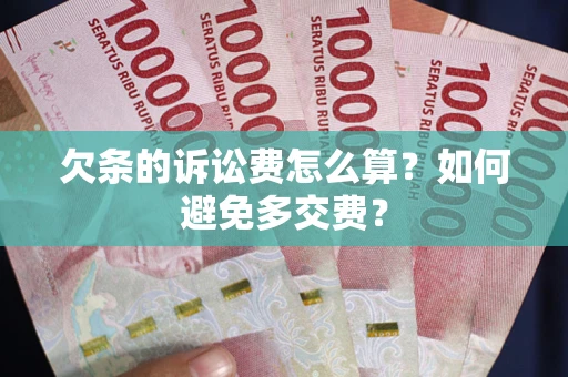 北京欠条的诉讼费怎么算？如何避免多交费？