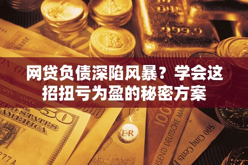 北京网贷负债深陷风暴？学会这招扭亏为盈的秘密方案